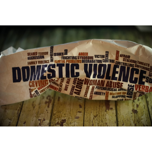 THE INTERSECTION OF FAMILY VIOLENCE AND CHILD SUPPORT LAW
